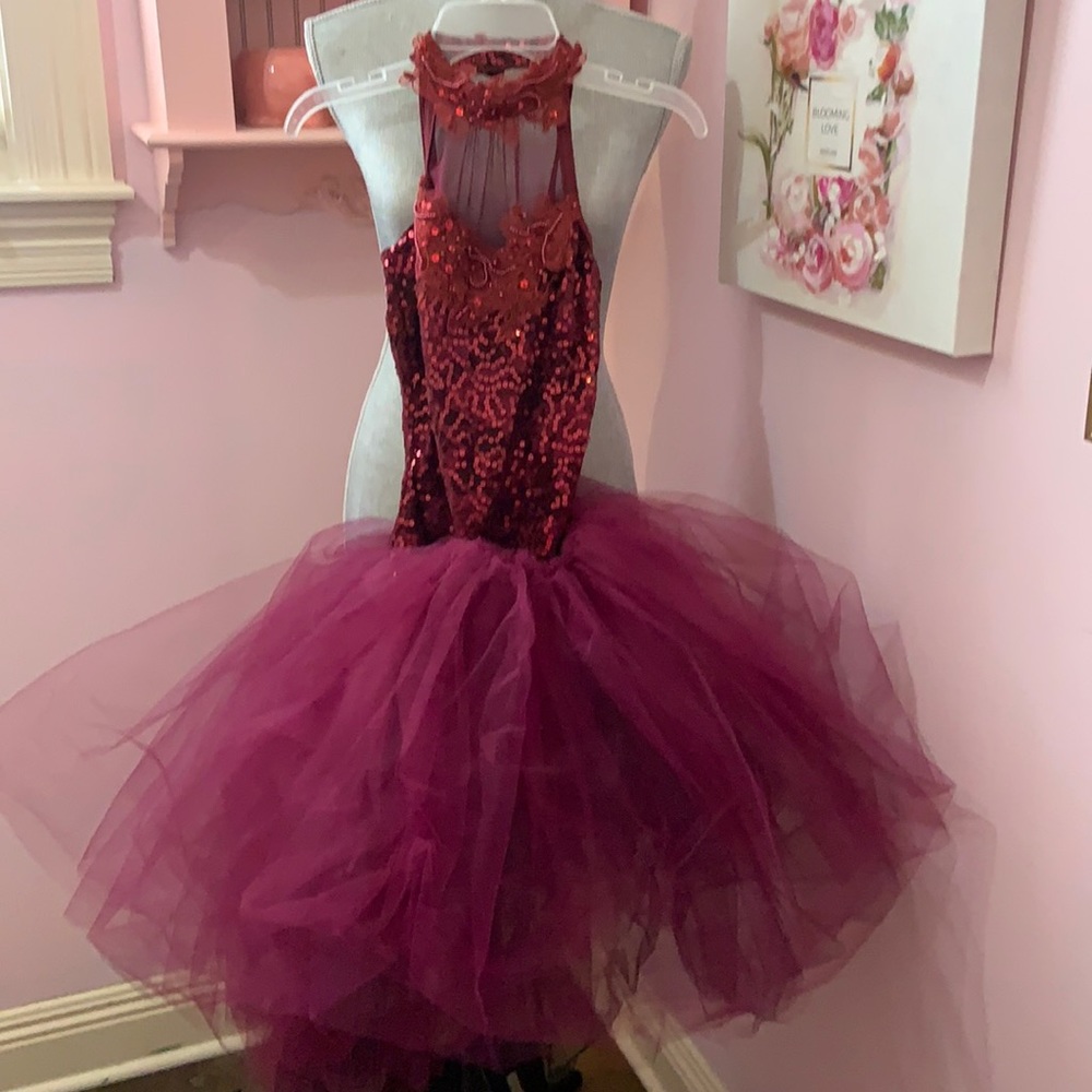 Burgundy Ballerina Sequin Leotard and TuTu